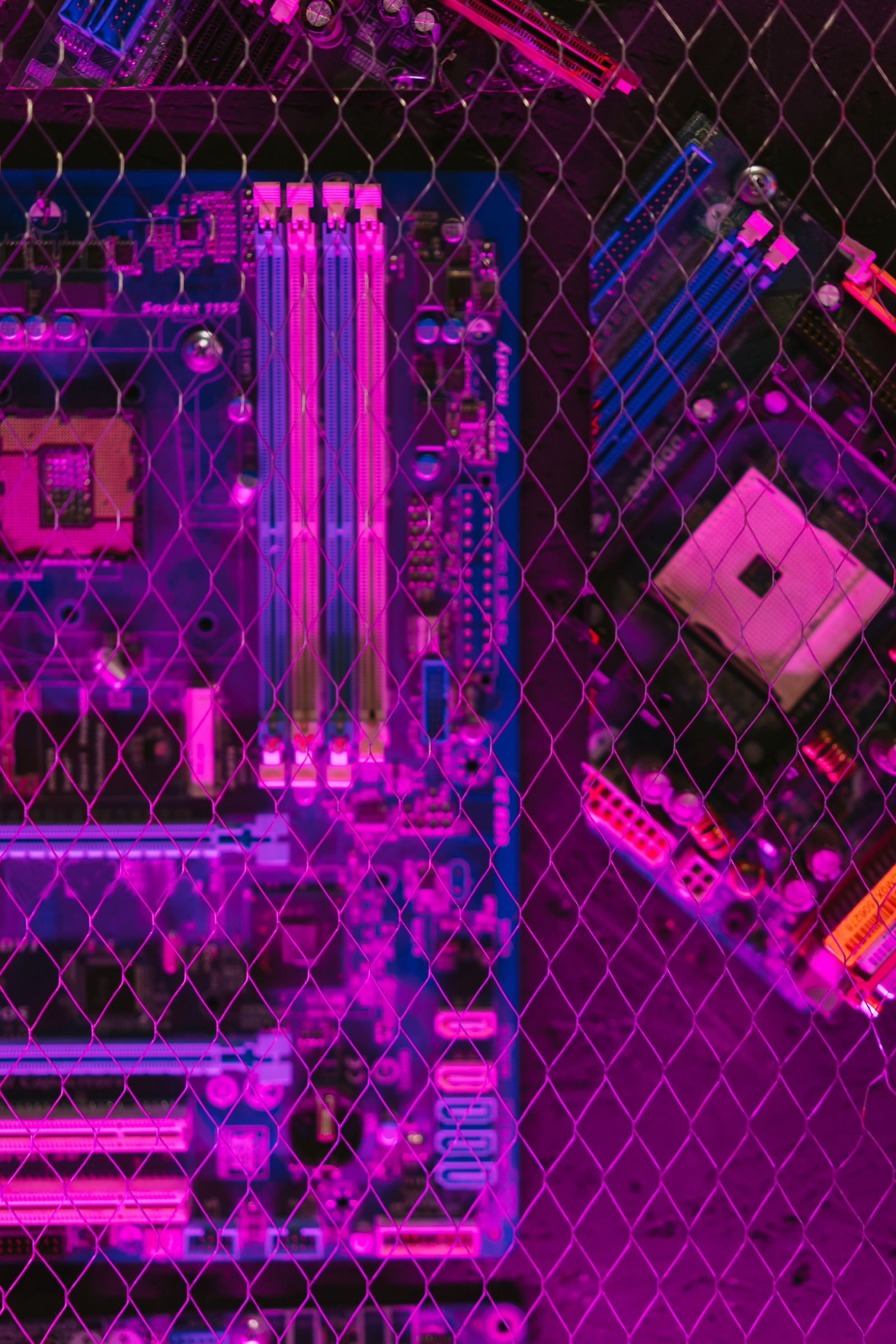 Placas-mãe vistas através de uma cerca de arame, em luz rosa e azul.